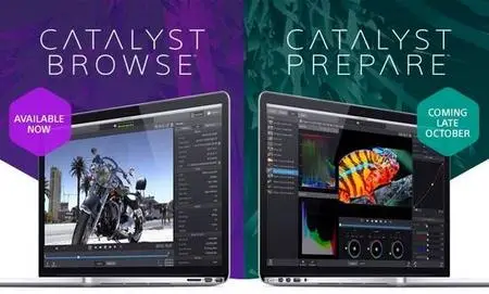 1437ba7138a1e5c701c2ba14b6ba3af0webp - Sony Catalyst Browse  Prepare Suite 2025.2 (x64)