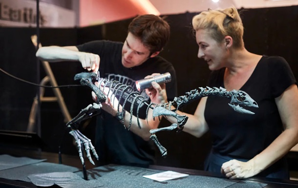 В США обнаружили новый вид динозавра