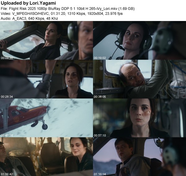 8f81b8f2419d38ca125562b4d6d63251 - Flight Risk (2025) 1080p BluRay DDP 5 1 10bit H 265-iVy