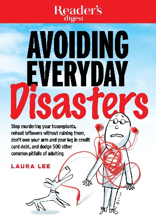 Cover: Avoiding Everyday Disasters - Lee