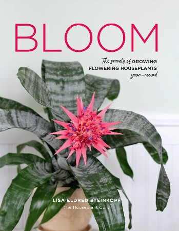 Cover: Bloom: The secrets of growing flowering houseplants year-round - Steinkopf