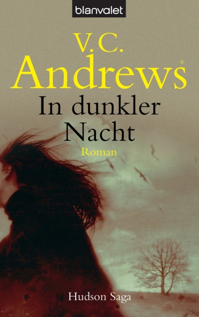 Die Hudson Saga 02 - In dunkler Nacht - Andrews, V.C. Die Hudson Saga 02 - In dunkler Nacht - Andrews, V.C.