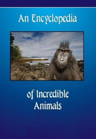Cover: The Illustrated Encyclopedia of Animals - Martin