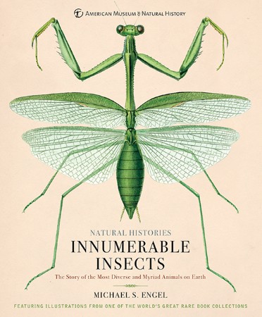 Cover: Innumerable Insects - Engel
