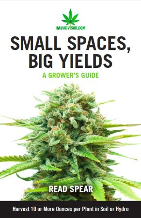 Cover: Small Spaces, Big Yields - Spear