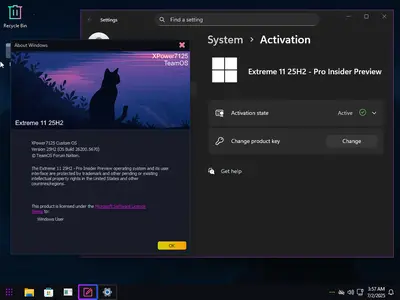 8bf7b94ea59b8207b96602f8da59da44webp - Windows 11 Pro Extreme 11 25H2 Build 26200.5670 (Insider Preview)