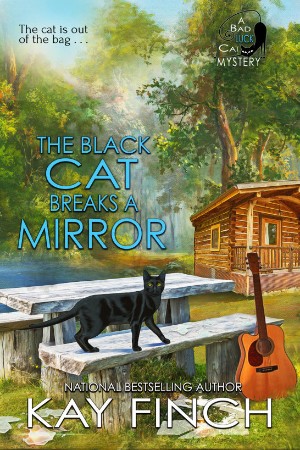 Cover: The Black Cat Breaks a Mirror - Finch