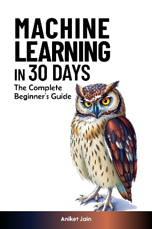 Cover: Python in 30 Days - Aniket Jain