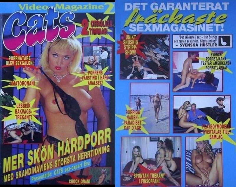 Cats Video Magazine 2