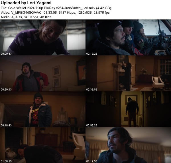 41f157fda7dfb1ee70e65818efa78c2b - Cold Wallet (2024) 720p BluRay x264-JustWatch