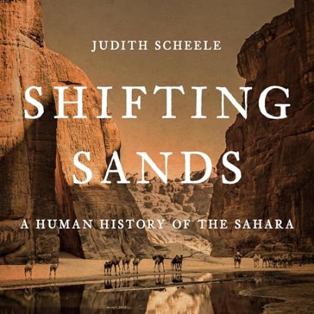 Cover: Shifting Sands - Judith Scheele