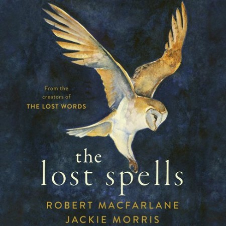Cover: The Lost Spells - Jackie Morris