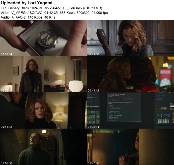 49947cc29c74c23d665db17795c0d5a5 - Canary Black (2024) BDRip x264-VETO