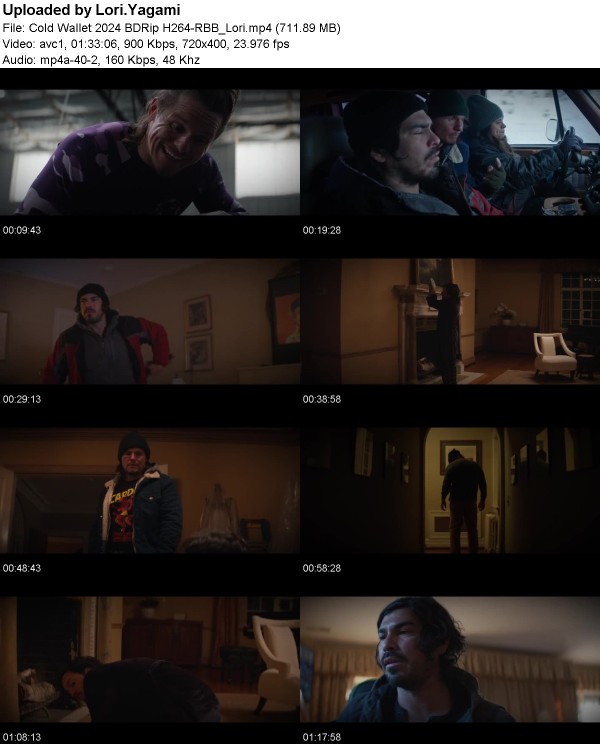 fef23f1fef65db1a11c7c40459a52db8 - Cold Wallet (2024) BDRip H264-RBB