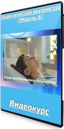 постер к Тамара Хестанова, Станислав Сидоров - Практическая акупунктура [Модуль 6] (2025) Видеокурс