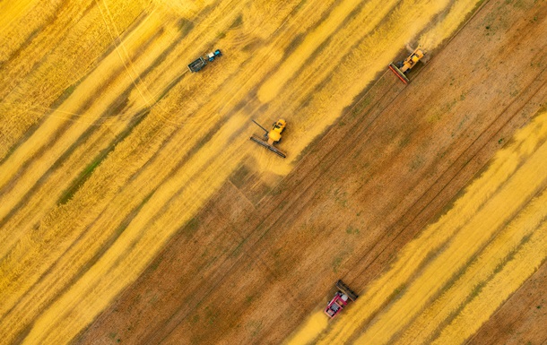 Аграрии приблизились к сбору первого миллиона тонн зерна