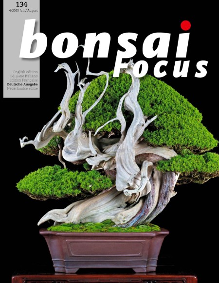 Bonsai Focus DE - 07.2008.2025 Bonsai Focus DE - 07.2008.2025