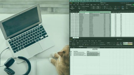 f5599d68dd60bae0eda2a605aa24ef99 - Data Preparation in Microsoft Excel