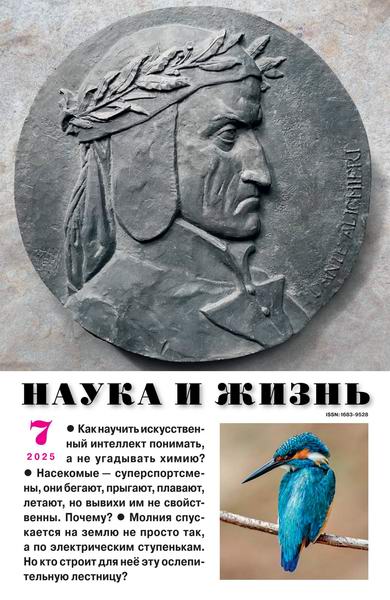 Наука и жизнь №7 (июль 2025)