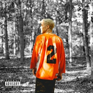 dying in designer - Nobody's Happy. 2 (Deluxe Edition) (2025)
