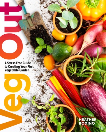 Cover: Veg Out - Heather Rodino