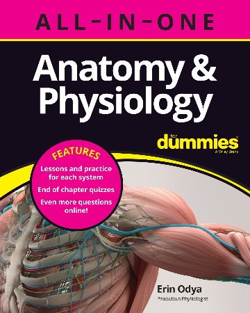 Cover: Anatomy - Dana Schwartz