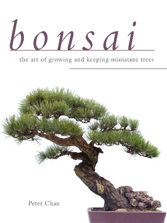 Cover: Bonsai - Alejandro Zambra