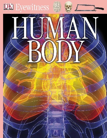 Cover: The Story of the Human Body - Daniel E. Lieberman