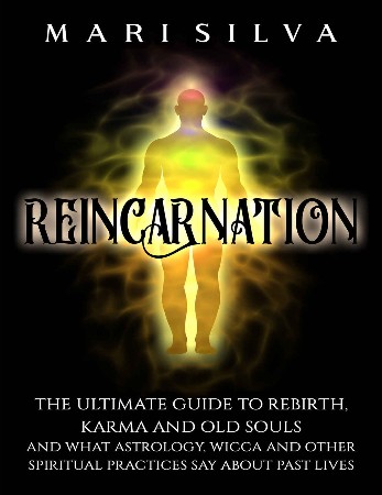 Cover: Reincarnation - Mari Silva