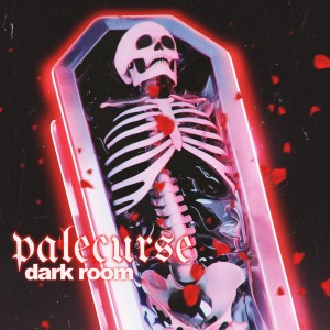 Palecurse - Dark Room (2025)