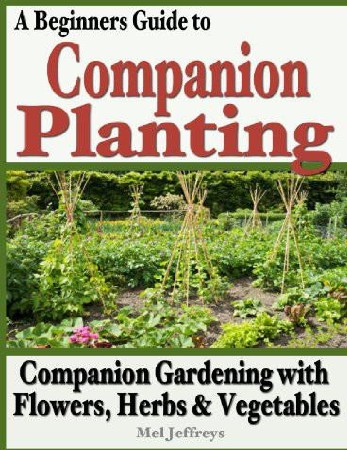 Cover: Companion Planting - Michael Ardon