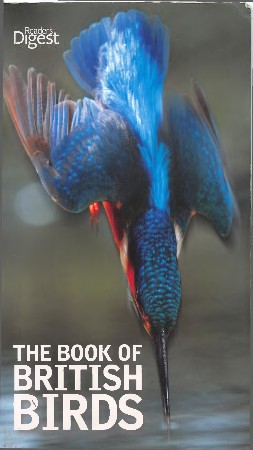 Cover: Songbird - Peter Grainger