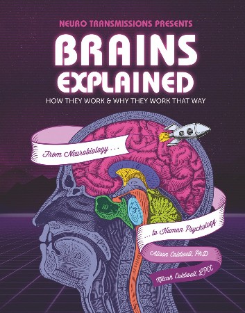 Cover: How Your Brain Works - New Scientist