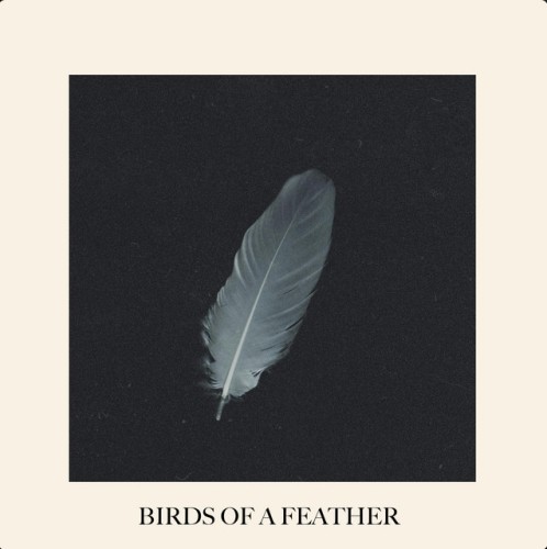 Our Last Night - Birds Of A Feather (Billie Eilish Cover) (Single) (2025)