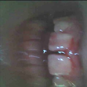 Dazey Doom - Grind Your Teeth (Single) (2025)