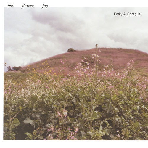 Emily A. Sprague - Hill, Flower, Fog (2020) FLAC Emily A. Sprague - Hill, Flower, Fog (2020) FLAC