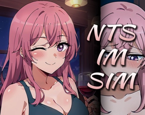 WiiJii - NTS-IM-SIM 0.1.2 Porn Game
