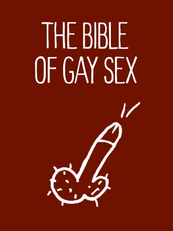 Cover: The Bible of Gay Sex - Stephan Niederwieser