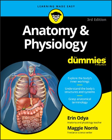 Cover: Anatomy & Physiology For Dummies - Erin Odya