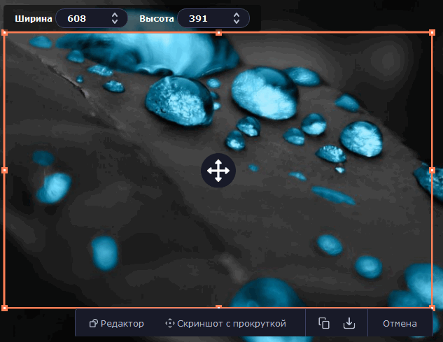 Movavi Screen Recorder