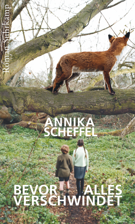 Bevor alles verschwindet - Annika Scheffel