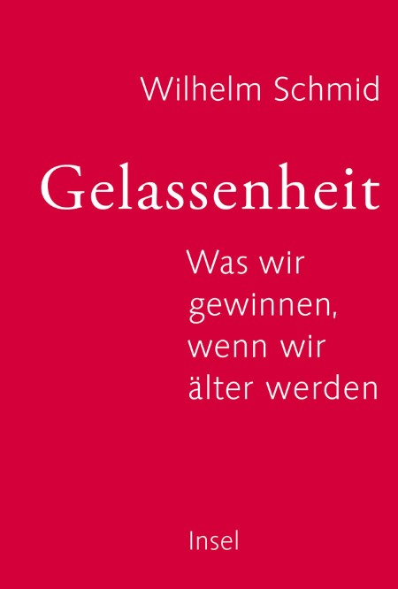 Vier Stresstypen und vier Wege zur Gelassenheit - Schmid-Bode, Wilhelm