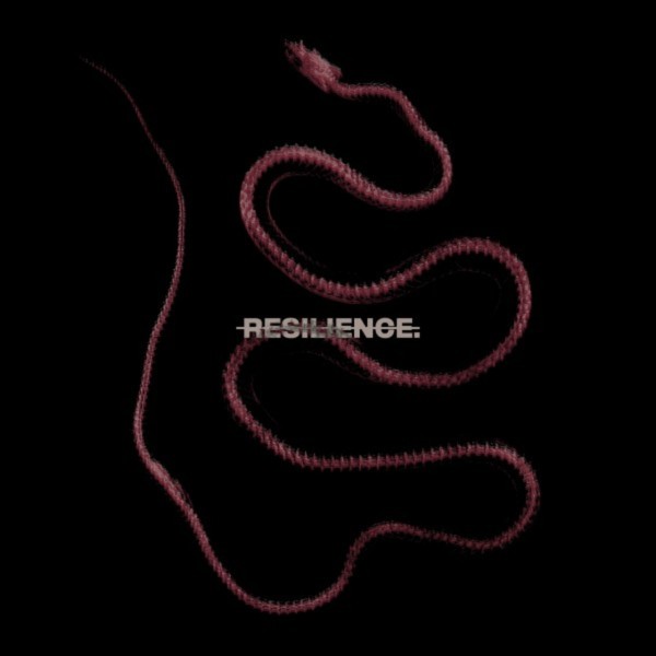 THROATCUT. - Resilience. (2025)