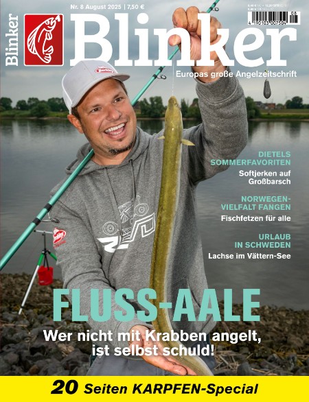 Blinker No 08.2025