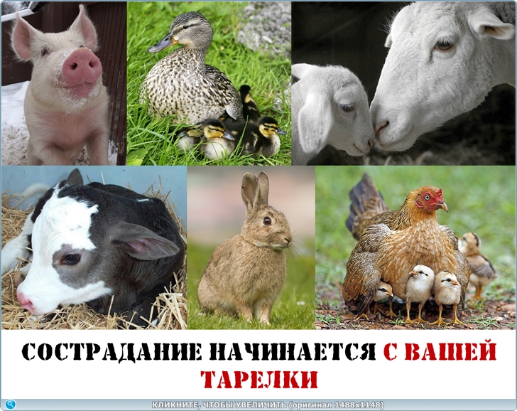 https://i125.fastpic.org/big/2025/0718/63/9e3e33911d0b0a67f433ea451617f663.jpg