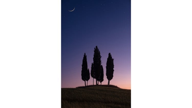 [Image: 9e4723d01069ff3ed322f796ab04f03c.jpg]