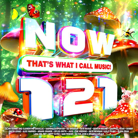 NOW That’s What I Call Music! 121 (2CD)