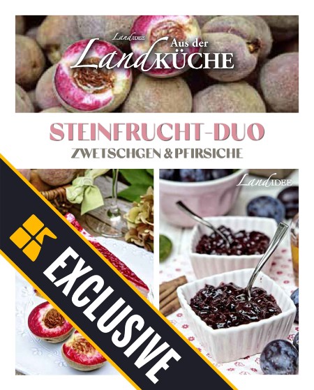 LandIDEE LandKüche SteinFrucht Duo 25