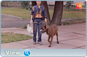 https//i125.fastpic.org/big/2025/0720/a0/46ec23c4f8983bc6740f7d87d73894a0.png