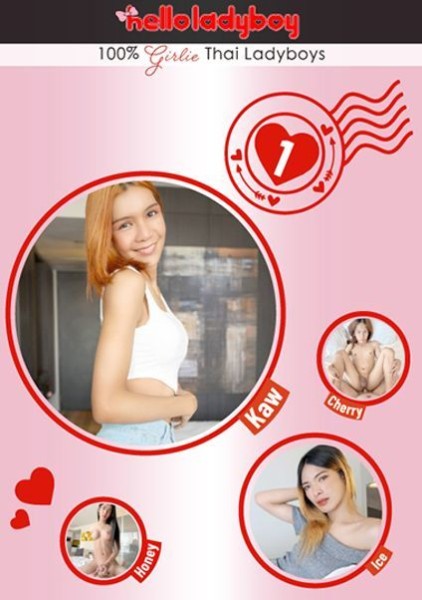 HelloLadyBoy